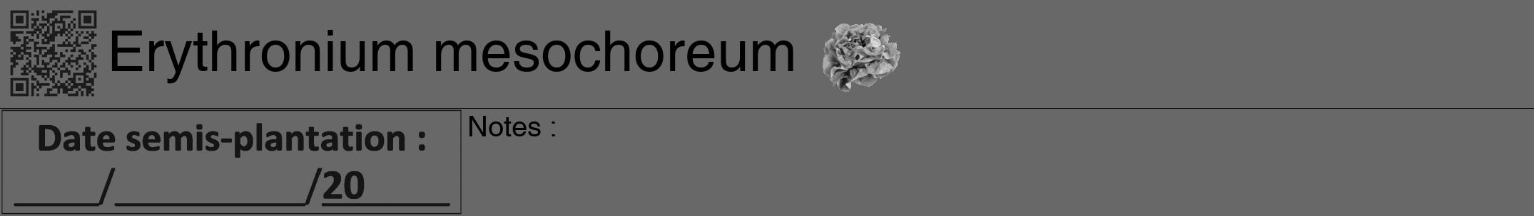 Étiquette de : Erythronium mesochoreum - format a - style noire43hel avec qrcode et comestibilité simplifiée
