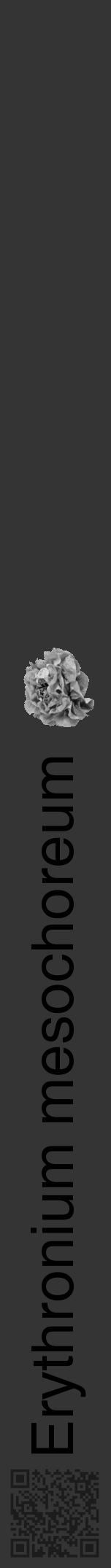 Étiquette de : Erythronium mesochoreum - format a - style noire46hel avec qrcode et comestibilité simplifiée - position verticale