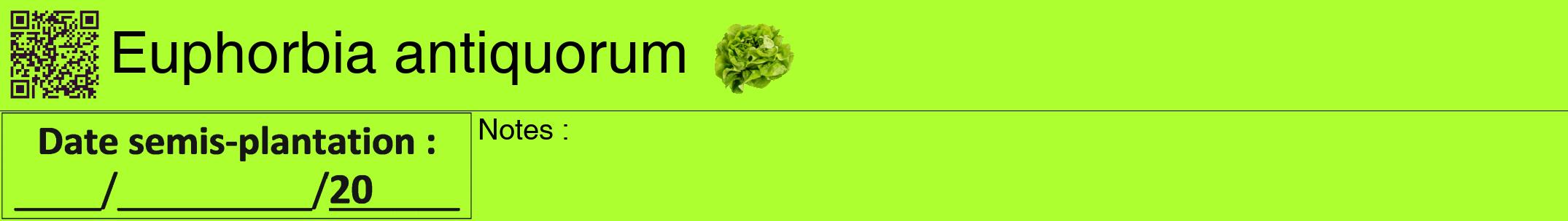 Étiquette de : Euphorbia antiquorum - format a - style noire17hel avec qrcode et comestibilité simplifiée
