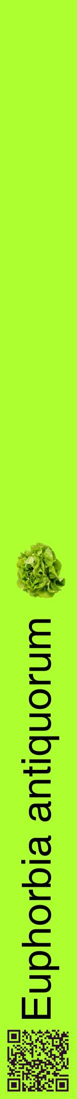 Étiquette de : Euphorbia antiquorum - format a - style noire17hel avec qrcode et comestibilité simplifiée
