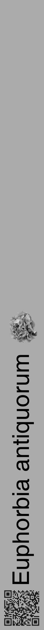 Étiquette de : Euphorbia antiquorum - format a - style noire37hel avec qrcode et comestibilité simplifiée - position verticale