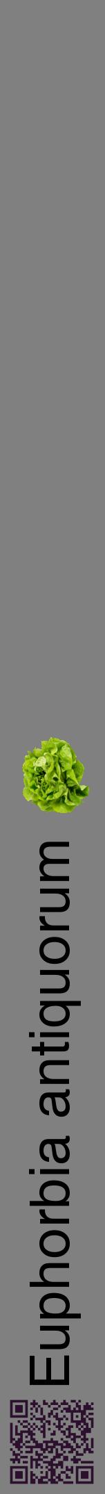 Étiquette de : Euphorbia antiquorum - format a - style noire57hel avec qrcode et comestibilité simplifiée