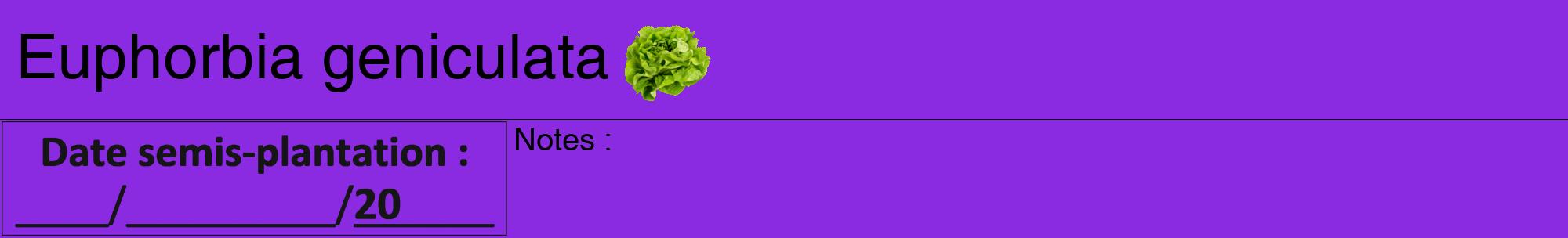 Étiquette de : Euphorbia geniculata - format a - style noire49hel avec comestibilité simplifiée