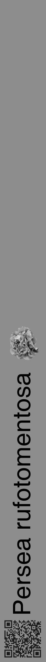 Étiquette de : Persea rufotomentosa - format a - style noire2hel avec qrcode et comestibilité simplifiée - position verticale