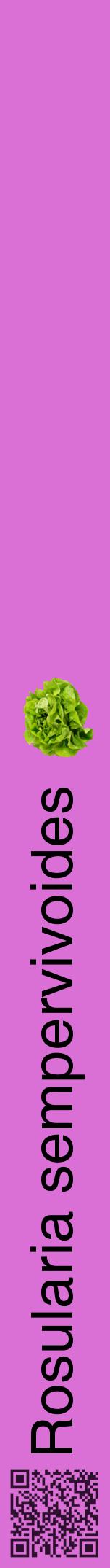 Étiquette de : Rosularia sempervivoides - format a - style noire52hel avec qrcode et comestibilité simplifiée