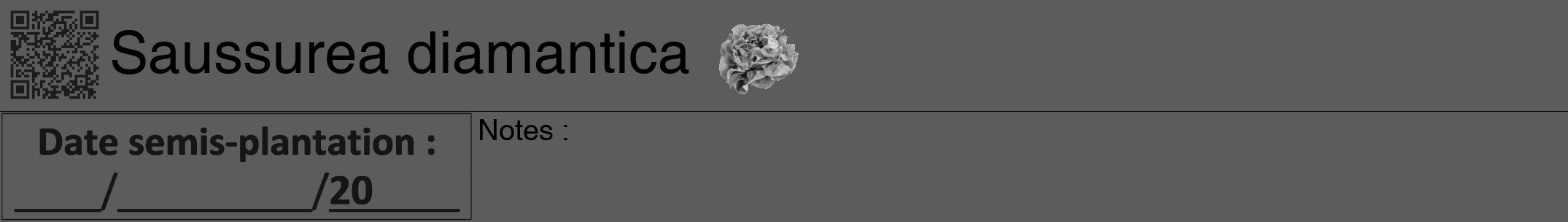 Étiquette de : Saussurea diamantica - format a - style noire49hel avec qrcode et comestibilité simplifiée