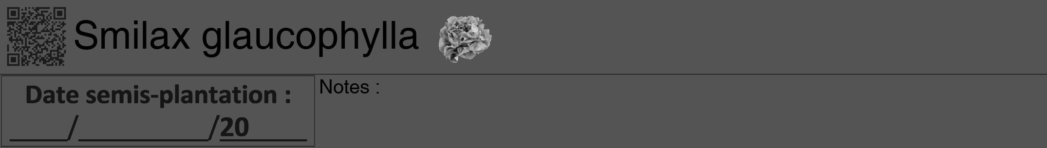 Étiquette de : Smilax glaucophylla - format a - style noire30hel avec qrcode et comestibilité simplifiée