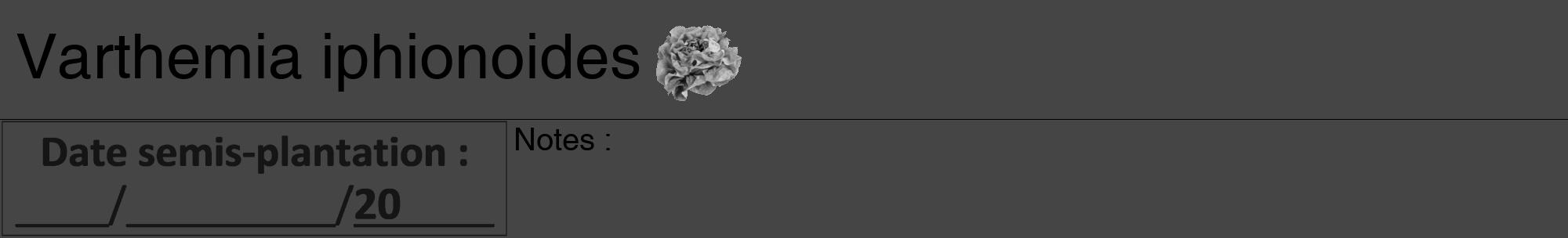 Étiquette de : Varthemia iphionoides - format a - style noire58hel avec comestibilité simplifiée