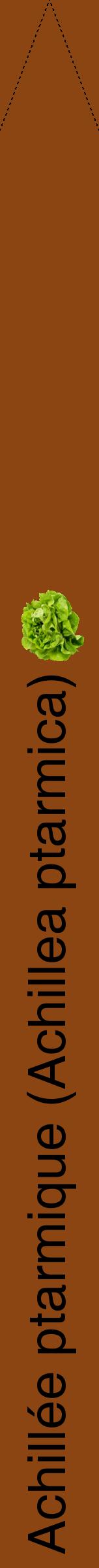 Étiquette de : Achillea ptarmica - format b - style noire30hel avec comestibilité simplifiée