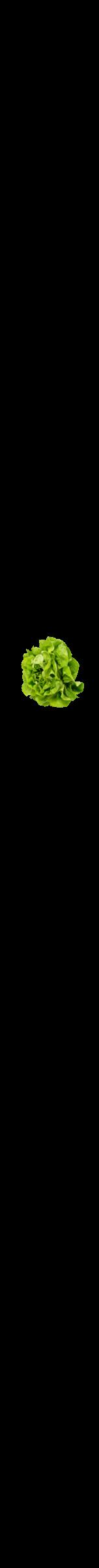 Étiquette de : Artemisia annua - format b - style noire59hel avec comestibilité simplifiée - position verticale