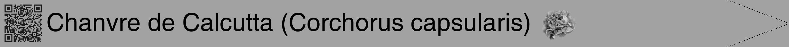Étiquette de : Corchorus capsularis - format b - style noire38hel avec qrcode et comestibilité simplifiée