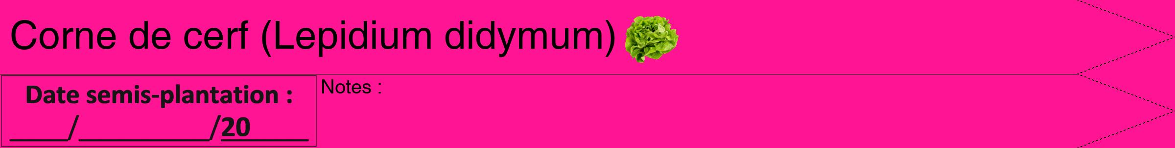 Étiquette de : Lepidium didymum - format b - style noire43hel avec comestibilité simplifiée