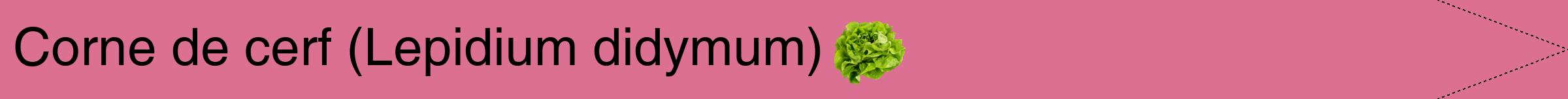 Étiquette de : Lepidium didymum - format b - style noire44simplehel avec comestibilité simplifiée