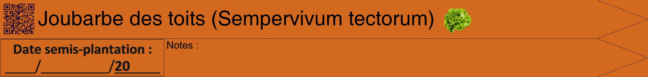 Étiquette de : Sempervivum tectorum - format b - style noire31hel avec qrcode et comestibilité simplifiée