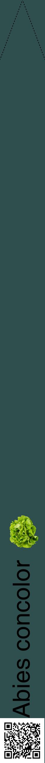 Étiquette de : Abies concolor - format b - style noire58hel avec qrcode et comestibilité simplifiée