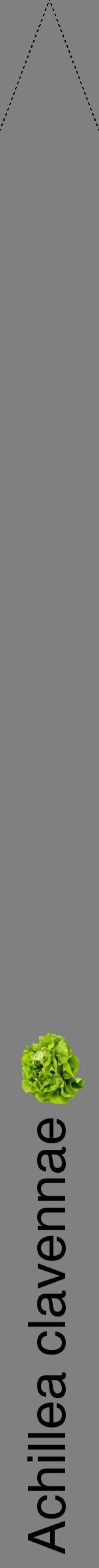 Étiquette de : Achillea clavennae - format b - style noire57hel avec comestibilité simplifiée