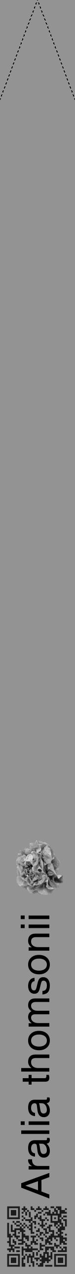 Étiquette de : Aralia thomsonii - format b - style noire44hel avec qrcode et comestibilité simplifiée - position verticale