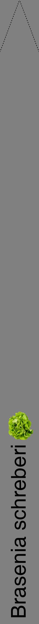 Étiquette de : Brasenia schreberi - format b - style noire57hel avec comestibilité simplifiée