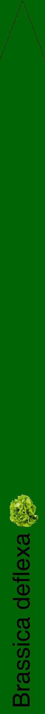 Étiquette de : Brassica deflexa - format b - style noire8hel avec comestibilité simplifiée