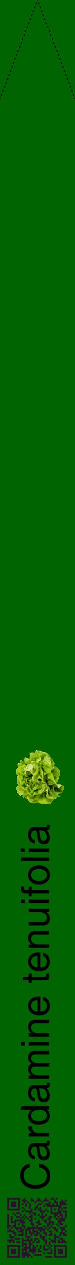 Étiquette de : Cardamine tenuifolia - format b - style noire8hel avec qrcode et comestibilité simplifiée