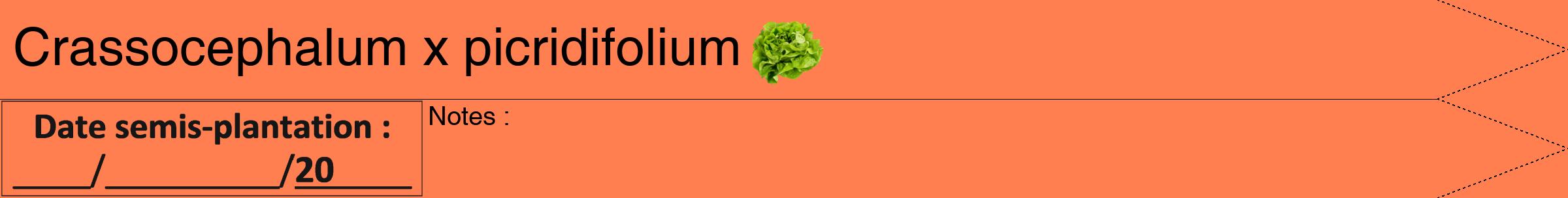 Étiquette de : Crassocephalum x picridifolium - format b - style noire24hel avec comestibilité simplifiée