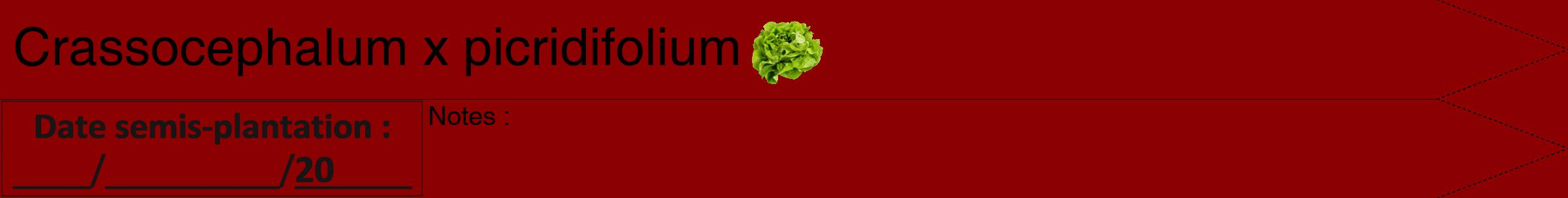 Étiquette de : Crassocephalum x picridifolium - format b - style noire34hel avec comestibilité simplifiée