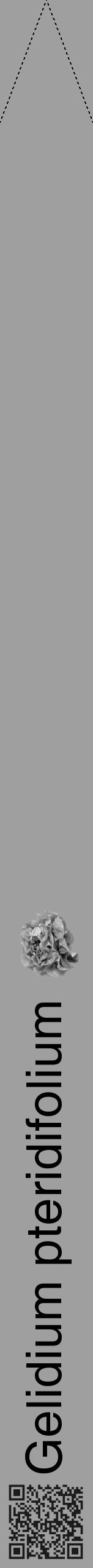 Étiquette de : Gelidium pteridifolium - format b - style noire24hel avec qrcode et comestibilité simplifiée - position verticale