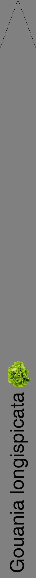 Étiquette de : Gouania longispicata - format b - style noire57hel avec comestibilité simplifiée