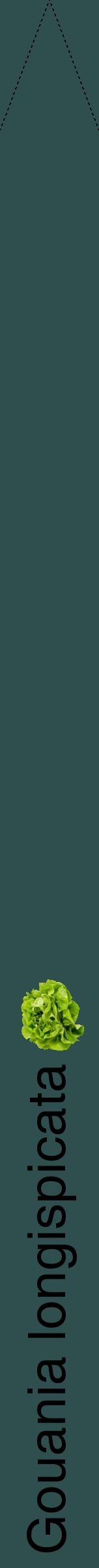 Étiquette de : Gouania longispicata - format b - style noire58hel avec comestibilité simplifiée