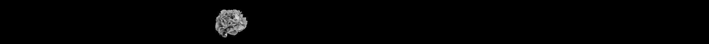 Étiquette de : Hemitelia latebrosa - format b - style noire59hel avec comestibilité simplifiée