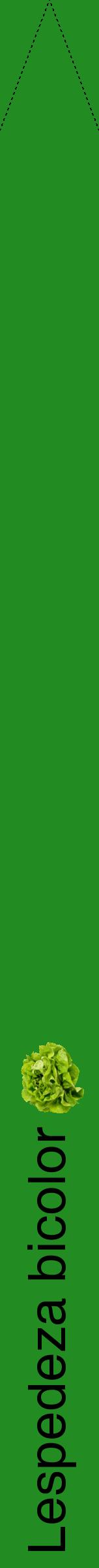 Étiquette de : Lespedeza bicolor - format b - style noire10hel avec comestibilité simplifiée
