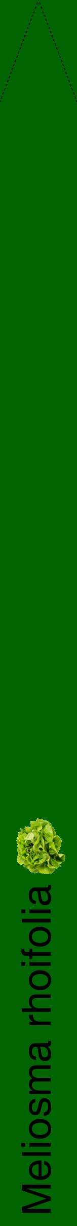 Étiquette de : Meliosma rhoifolia - format b - style noire8hel avec comestibilité simplifiée