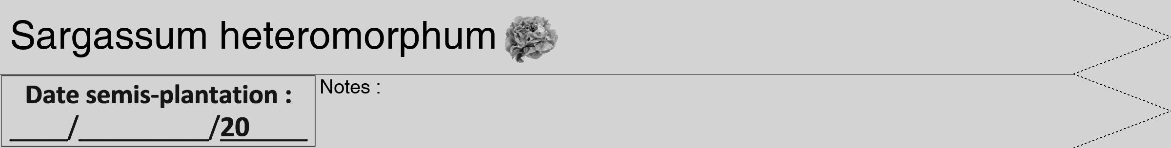 Étiquette de : Sargassum heteromorphum - format b - style noire56hel avec comestibilité simplifiée