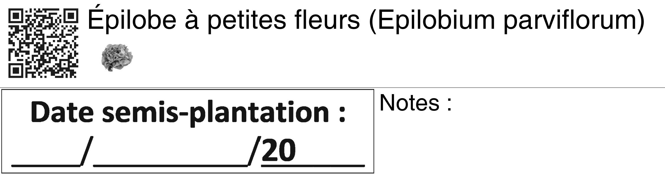 Étiquette de : Epilobium parviflorum - format c - style noire60_basiquegrrvhel avec qrcode et comestibilité simplifiée