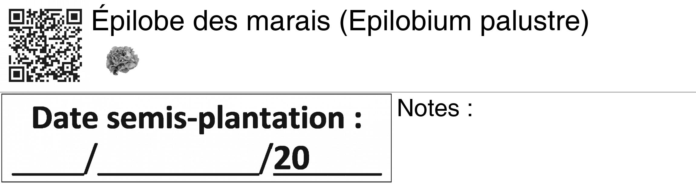 Étiquette de : Epilobium palustre - format c - style noire60_basiquegrrvhel avec qrcode et comestibilité simplifiée