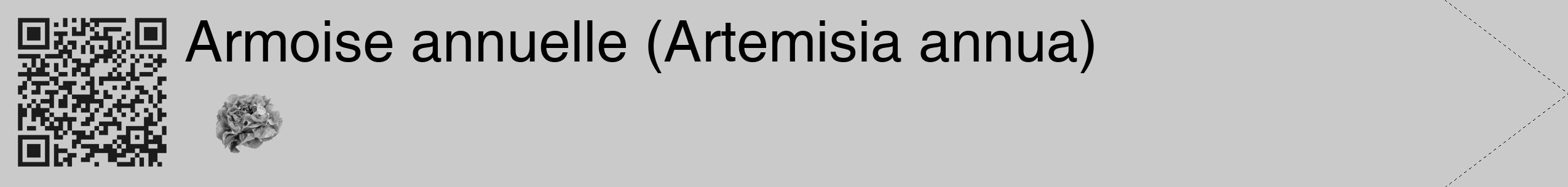 Étiquette de : Artemisia annua - format c - style noire21_simple_simplehel avec qrcode et comestibilité simplifiée