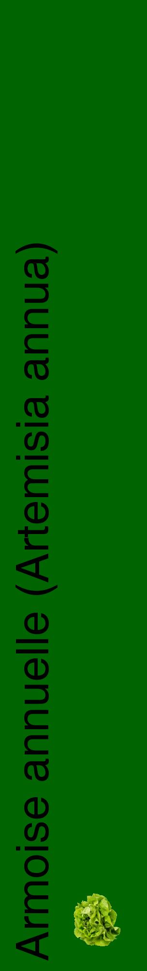 Étiquette de : Artemisia annua - format c - style noire8_basiquehel avec comestibilité simplifiée