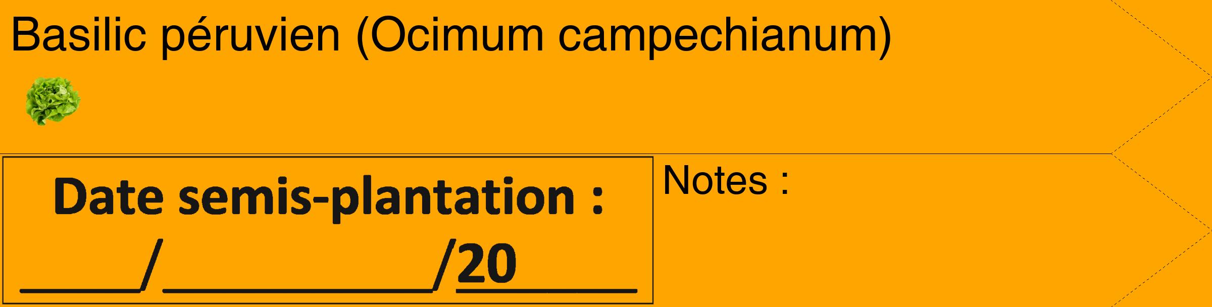 Étiquette de : Ocimum campechianum - format c - style noire22_simple_simplehel avec comestibilité simplifiée