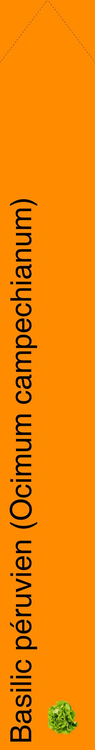 Étiquette de : Ocimum campechianum - format c - style noire23_simple_simplehel avec comestibilité simplifiée - position verticale