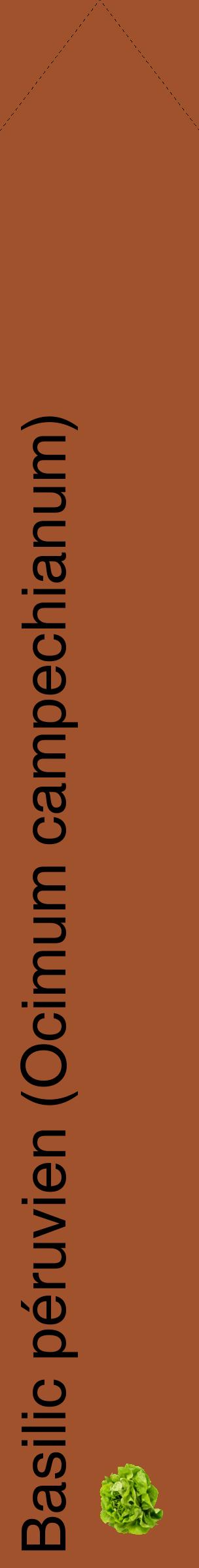 Étiquette de : Ocimum campechianum - format c - style noire32_simplehel avec comestibilité simplifiée