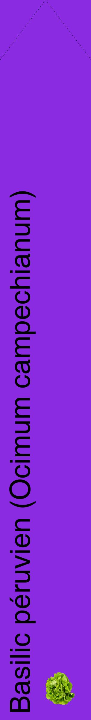 Étiquette de : Ocimum campechianum - format c - style noire49_simplehel avec comestibilité simplifiée