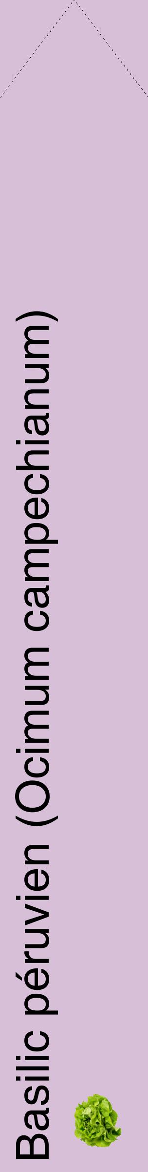 Étiquette de : Ocimum campechianum - format c - style noire54_simplehel avec comestibilité simplifiée