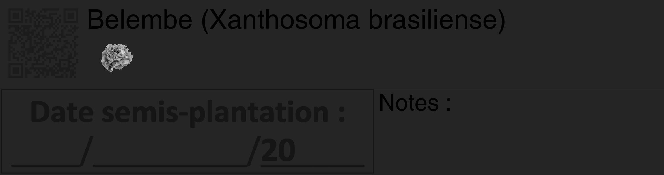 Étiquette de : Xanthosoma brasiliense - format c - style noire47_basique_basiquehel avec qrcode et comestibilité simplifiée