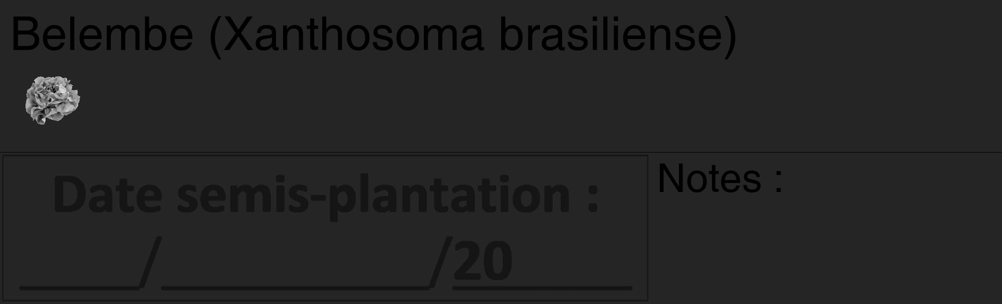 Étiquette de : Xanthosoma brasiliense - format c - style noire47_basique_basiquehel avec comestibilité simplifiée