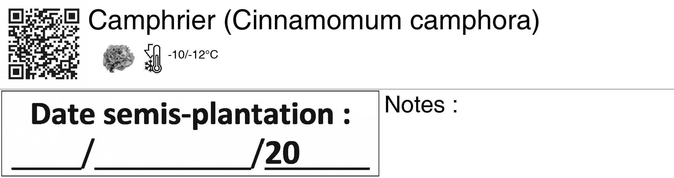 Étiquette de : Cinnamomum camphora - format c - style noire60_basiquegrrvhel avec qrcode et comestibilité simplifiée