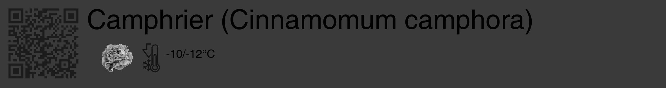 Étiquette de : Cinnamomum camphora - format c - style noire8_basique_basiquehel avec qrcode et comestibilité simplifiée