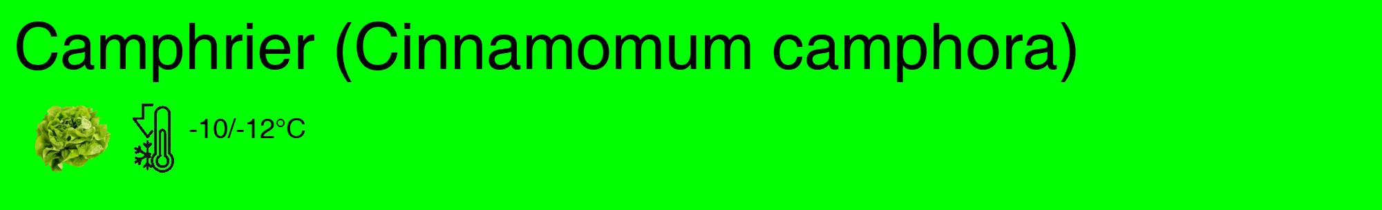 Étiquette de : Cinnamomum camphora - format c - style noire16_basique_basiquehel avec comestibilité simplifiée