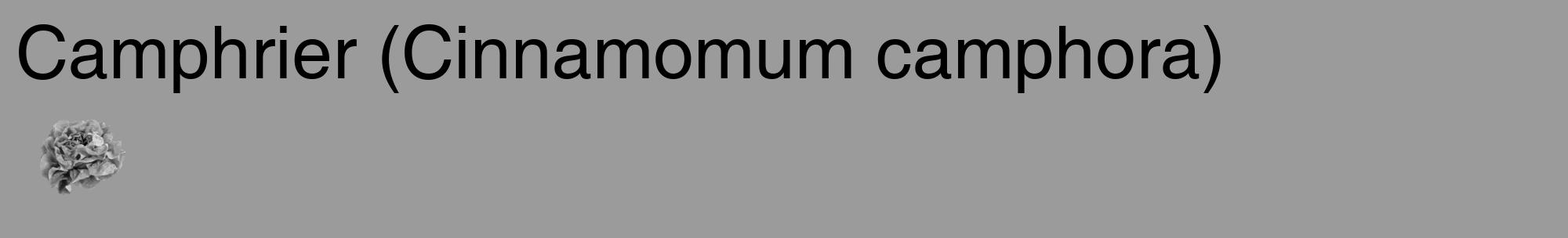 Étiquette de : Cinnamomum camphora - format c - style noire52_basique_basiquehel avec comestibilité simplifiée