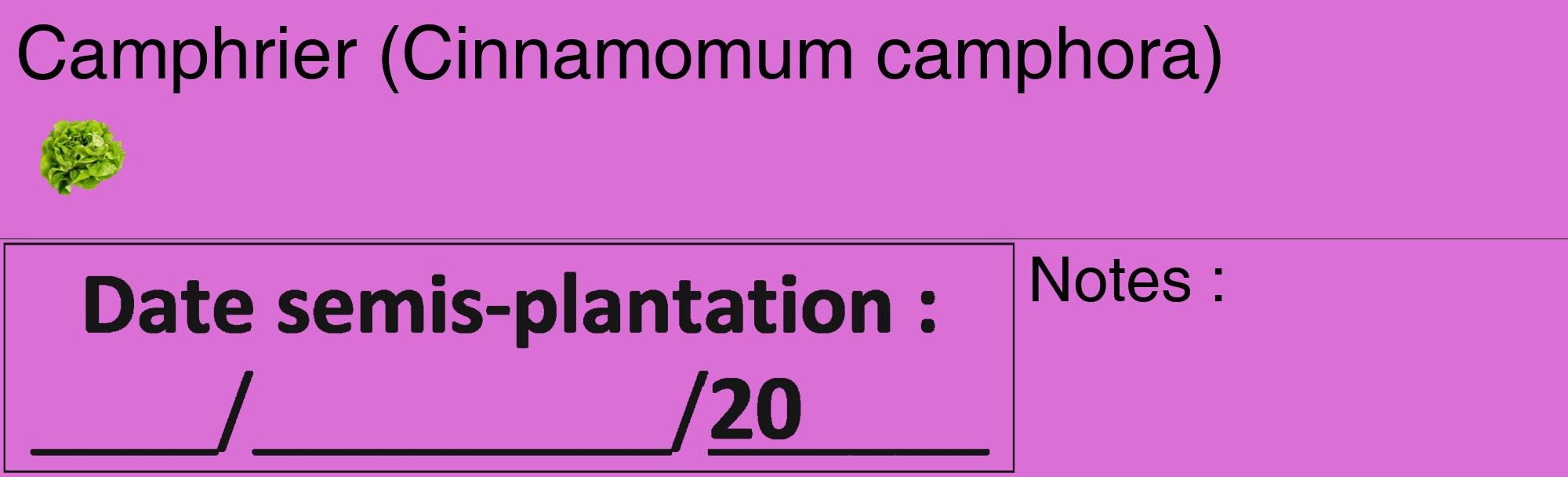 Étiquette de : Cinnamomum camphora - format c - style noire52_basique_basiquehel avec comestibilité simplifiée