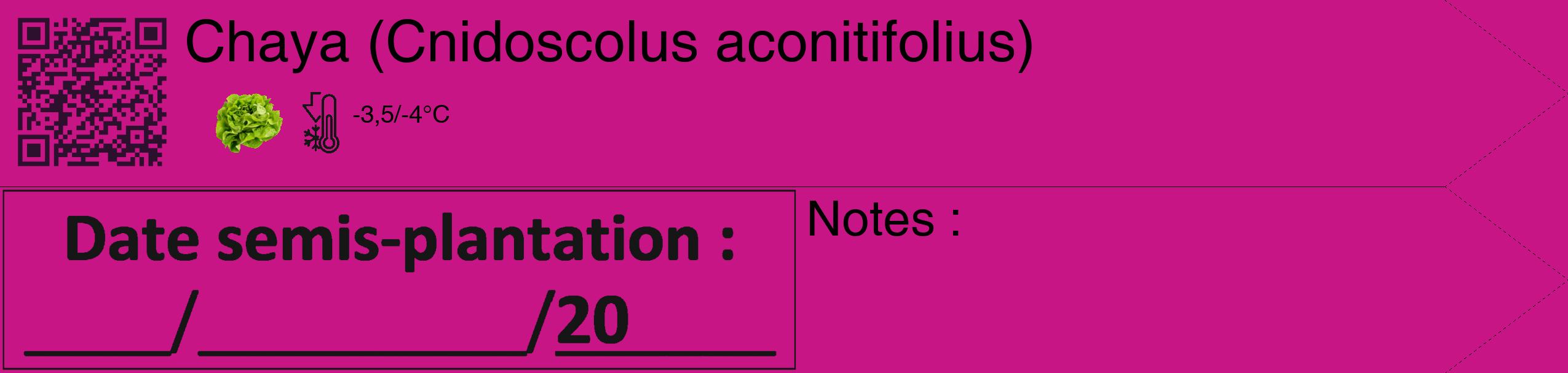 Étiquette de : Cnidoscolus aconitifolius - format c - style noire45_simple_simplehel avec qrcode et comestibilité simplifiée